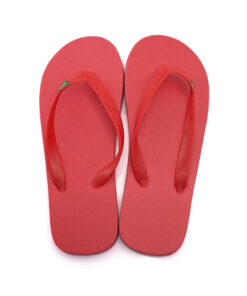 Alternative view of Flip Flop Brasileira