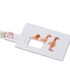 Creditcard. USB flash 16GB