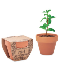 Terrakotta-Topf Minze MINT POT