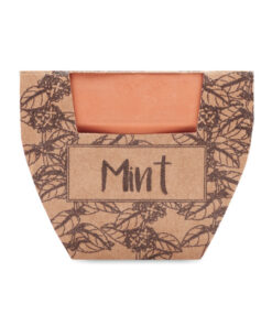 Alternative view of Terrakotta-Topf Minze MINT POT