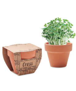 Terrakotta-Topf Kresse CRESS POT