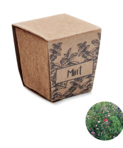 Pflanz-Set Minze MINT KIT