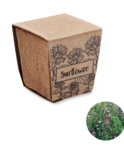 Pflanz-Set Sonnenblume SUNFLOWER KIT