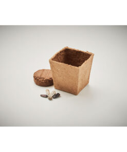 Pflanz-Set Sonnenblume SUNFLOWER KIT Beige 15 mo2411 13 detail