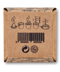 Pflanz-Set Sonnenblume SUNFLOWER KIT Beige 16 mo2411 13 picture1