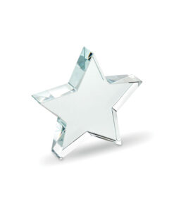 Alternative view of Glas-Pokal Stern STARWARD