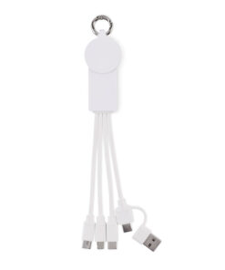 2in1 Ladekabel Typ-C ICAB