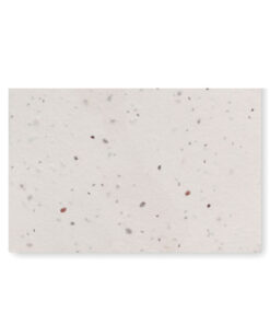 Wildblumensamen-Visitenkarte. ASIDA