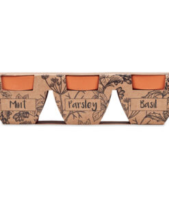 Alternative view of Terracotta-Set Kräuter FLOWERPOT