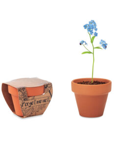 Terracotta-Topf Vergissmeinnich FORGET ME NOT