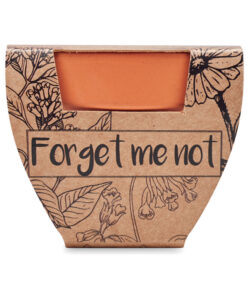 Alternative view of Terracotta-Topf Vergissmeinnich FORGET ME NOT