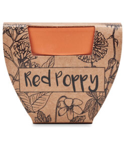 Alternative view of Terracotta-Topf Mohnblume RED POPPY