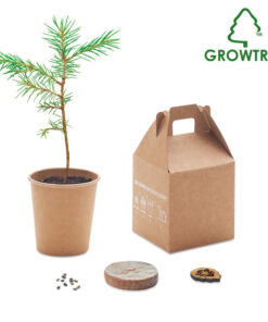 Kiefernsamen-Set GROWTREE™