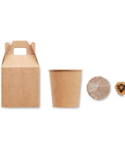 Alternative view of Kiefernsamen-Set GROWTREE™