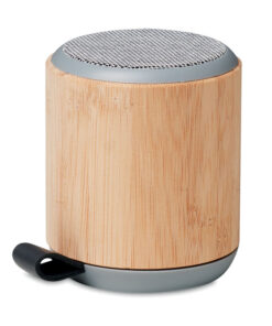 5.3 Wireless Lautsprecher RUGLI