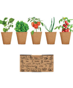 Saat-Set Salat SALAD