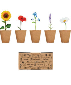 Saat-Set Sommerblumen FLOWERS