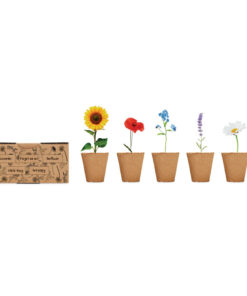 Saat-Set Sommerblumen FLOWERS 10 mo6500 13 open