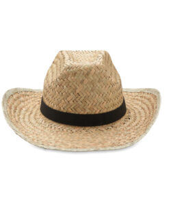 Alternative view of Cowboy-Hut Stroh TEXAS