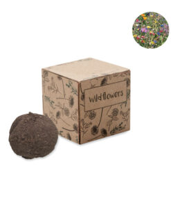 Saat-Set Wildblumen BOMBI