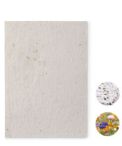 DIN A5 Wildblumen-Samenpapier ASIDE