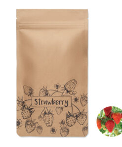 Saat-Set Erdbeere FRESA KIT