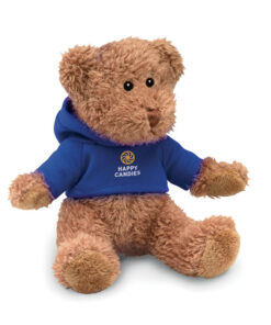 Alternative view of Teddybär mit Hoody JOHNNY