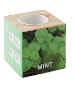 Kräuterpflanz-Set "Minze'' MENTA