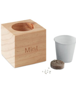 Alternative view of Kräuterpflanz-Set "Minze'' MENTA