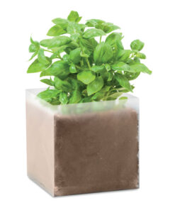 Pflanz-Set "Basilikum" BASIL