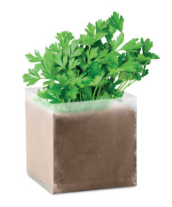 Pflanz-Set "Petersilie" PARSELY