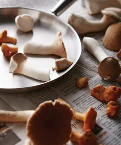 5510 M 400 581d46479cae4e50b6ae38c2c3e57a95