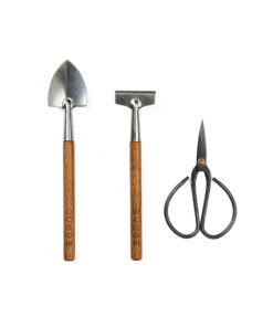 V2613907 D 100 99d7c84c129f4ab78730727c568e4504