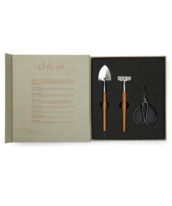 V2613907 P 501 04769e6581a94858873f374c004c9101