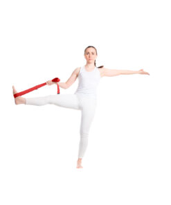 Virabha RPET Yogagurt