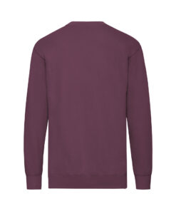 Erwachsene Sweatshirt Lightweight Set-In S 7 1334 D2