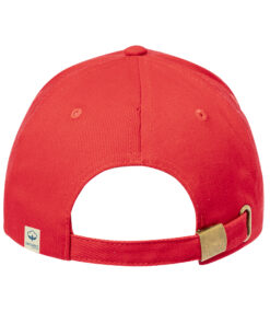 Mütze Gleyre 10 20833 D3