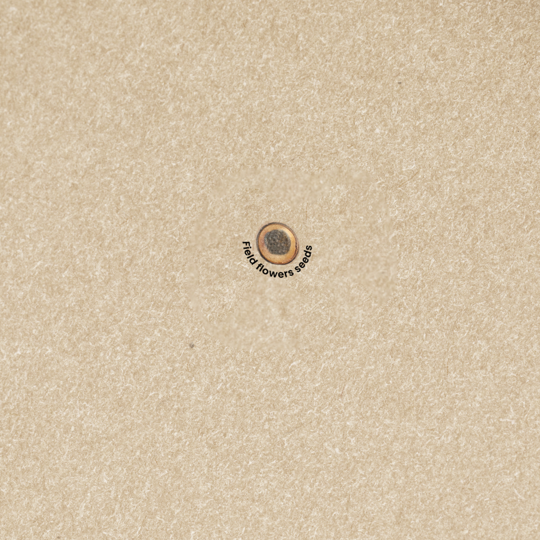 Samen Notizblock Baupres 7 Samen Notizblock Baupres – Bild 5