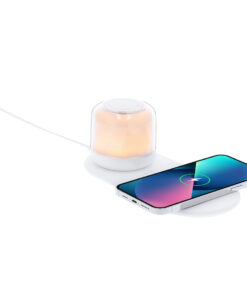 Ladegerät Lampe Reginal 15 21357 D4