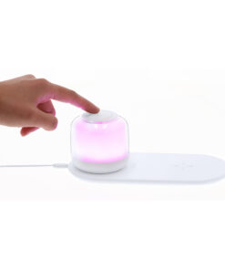 Ladegerät Lampe Reginal 17 21357 D6