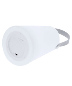 Lampe Tuxfan 10 21783 D3