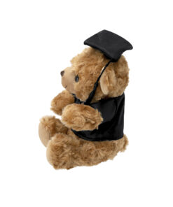 Alternative view of Teddy Kamor