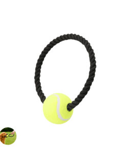 Kauknochen für Haustier Xekar