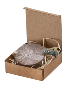 Alternative view of Pflanzbares Pack Aquael