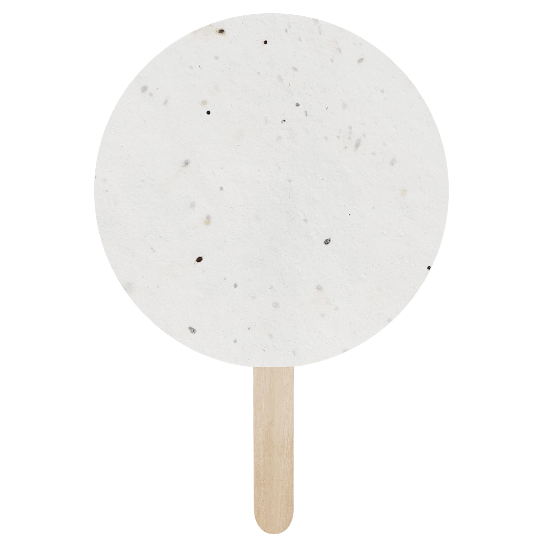 Pflanzbarer Pay-Pay Luluar 5 Pflanzbarer Pay-Pay Luluar – Bild 3