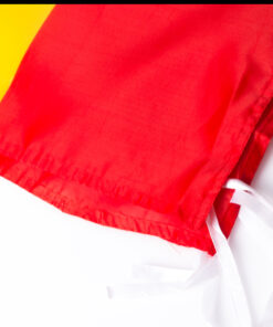 Fahne Caser 8 3767 D2