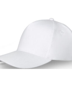 Home 37 Doyle Panel Kappe mit 5 Segmenten