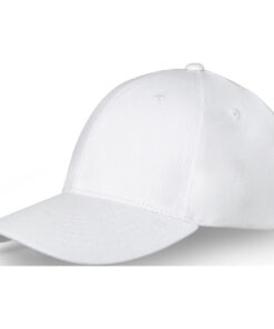 Home 35 Davis Panel Kappe mit 6 Segmenten