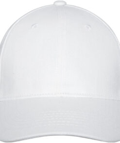 Alternative view of Davis Panel Kappe mit 6 Segmenten