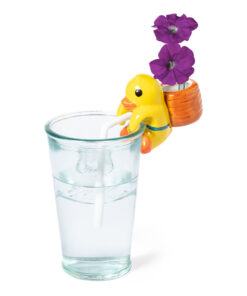 Blumentopf Chupon 13 5905 D4